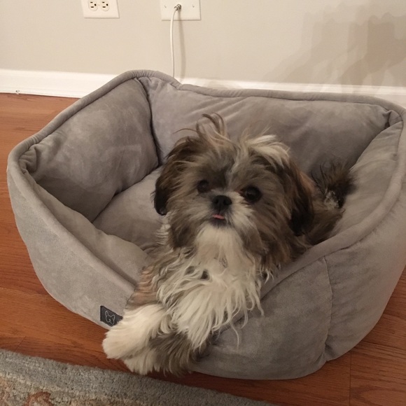 Meet your Posher, Trish Poshmark Ambassador!!💕💕 - Picture 2 of 3